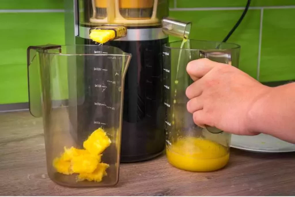 Cold Press Juicer Machine