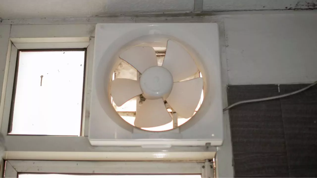 Best Exhaust Fan for Kitchen 12 Inch
