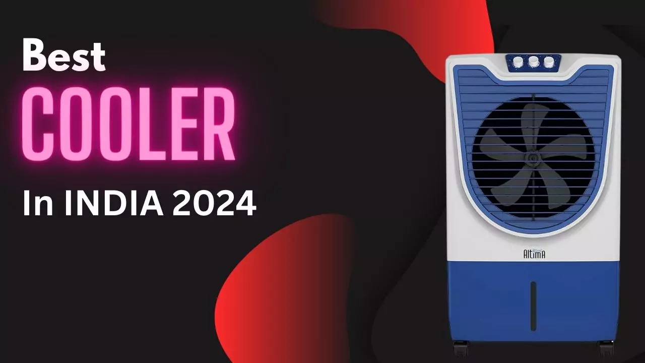 Best buy cooler in 2024