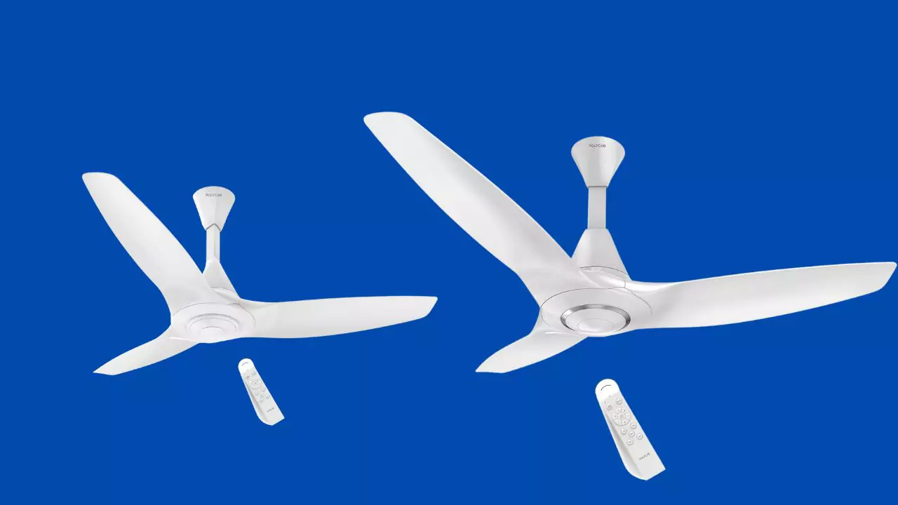  Polycab Silencio Cruiser 48 C 1200 MM  Ceiling Fan