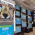 Amazon’s Great Republic Day Sale 2024 Offers Massive Discounts on Gadgets and Exciting Bank Offers