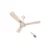 Havells Ambrose Decorative BLDC 1200mm Ceiling Fan