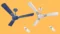 Havells Enticer Decorative BLDC 1200mm Energy Saving Ceiling Fan