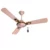 Havells Festiva Prime Decorative BLDC 1200mm Ceiling Fan