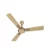 Havells Fusion Prime ES 1200mm Decorative Ceiling Fan