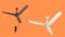 KUHL Arctis A4 1200mm Decorative Power Saving BLDC Ceiling Fan