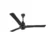 Orient Electric I Tome 1200mm BLDC Ceiling Fan
