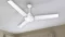 Polycab BLDC 1200 MM High-Speed Ceiling Fan