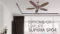 Polycab Superia SP04 Super Premium 1200 mm Designer 5 blades Ceiling Fan