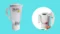 Sujata Powermatic Plus 900 Watts Juicer Mixer Grinder