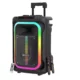 ZEBRONICS New Launch Buddy 300 Portable Party Speaker